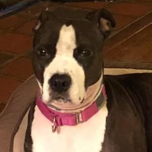 Meet your Posher, Casey